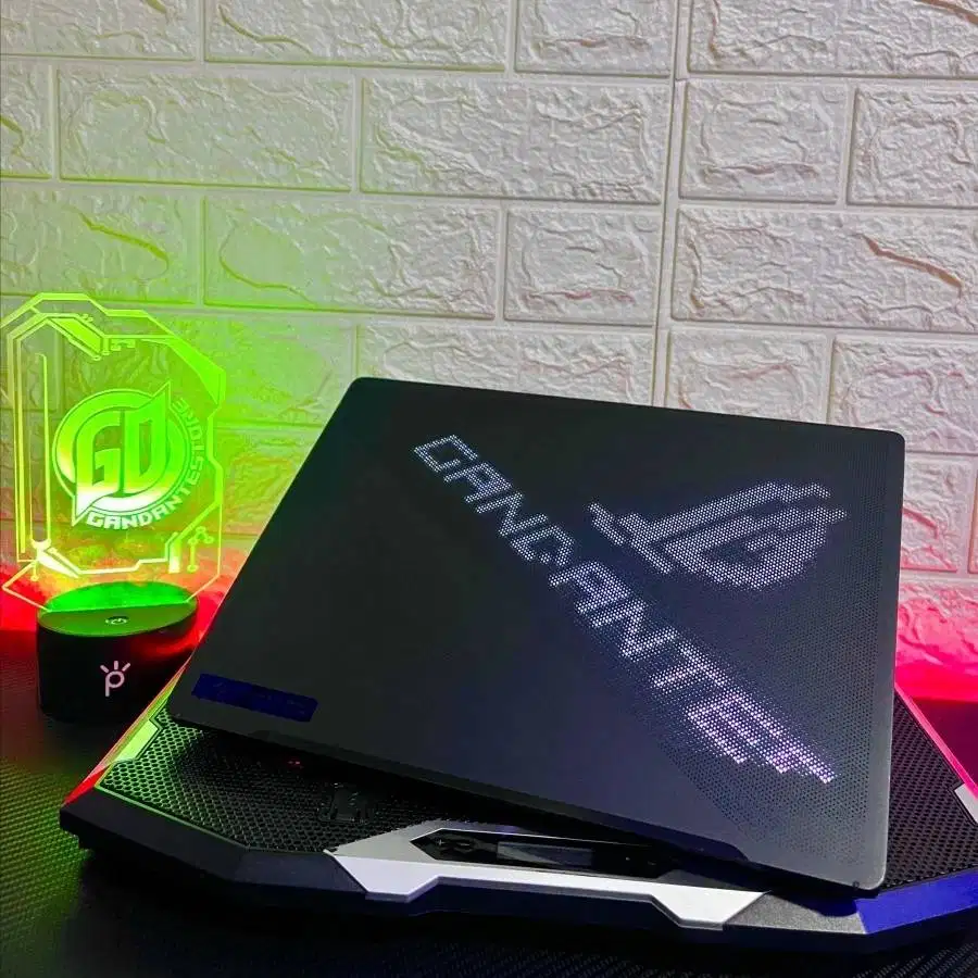 Asus ROG Zephyrus G14 GA401V Ryzen 9 RTX 2060 ANIMATRIX Edition Resmi