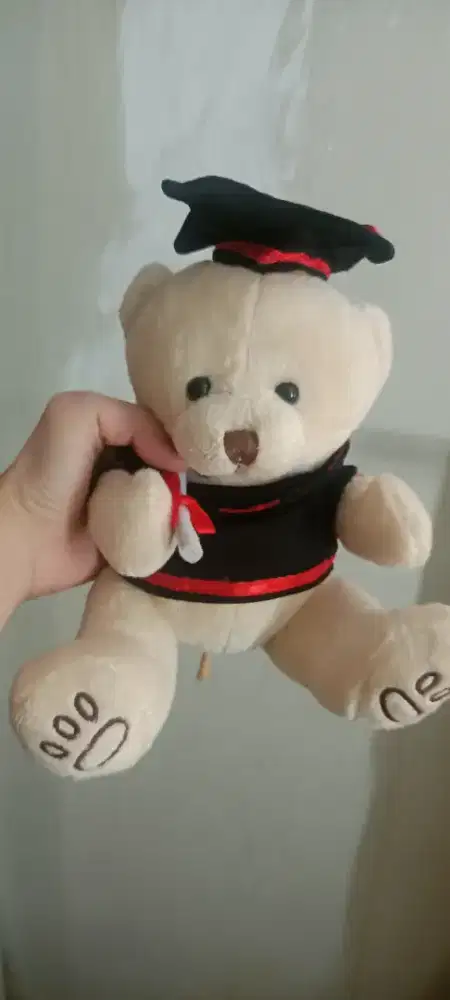 Boneka wisuda topi