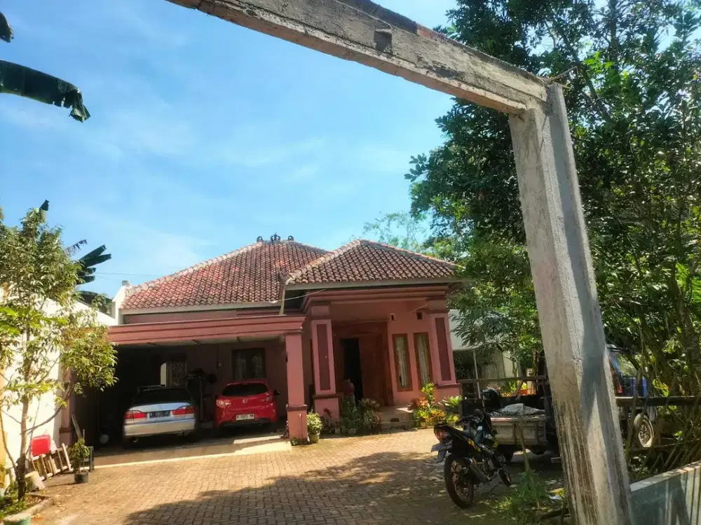 Rumah Mewah Asri ada Kebun Durian di Jl. Pandean, Gunungpati dkt Pasar