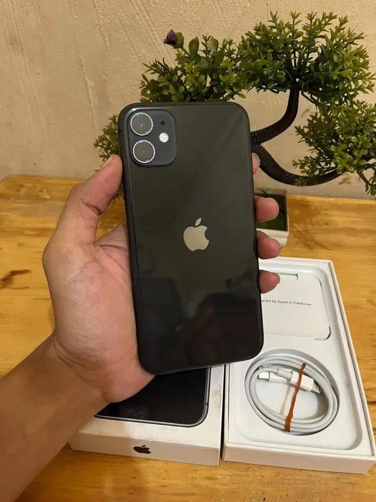 iPhone 11 256gb inter all provider
