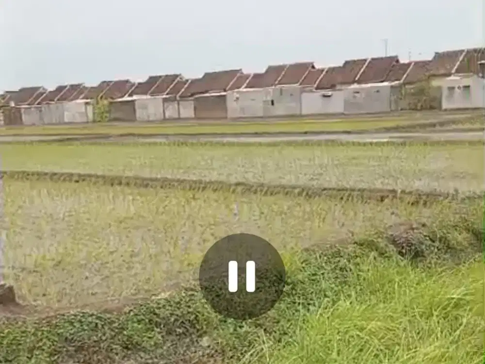 Dijual tanah pertanian ( sawah ) aktif Bareng, Jombang