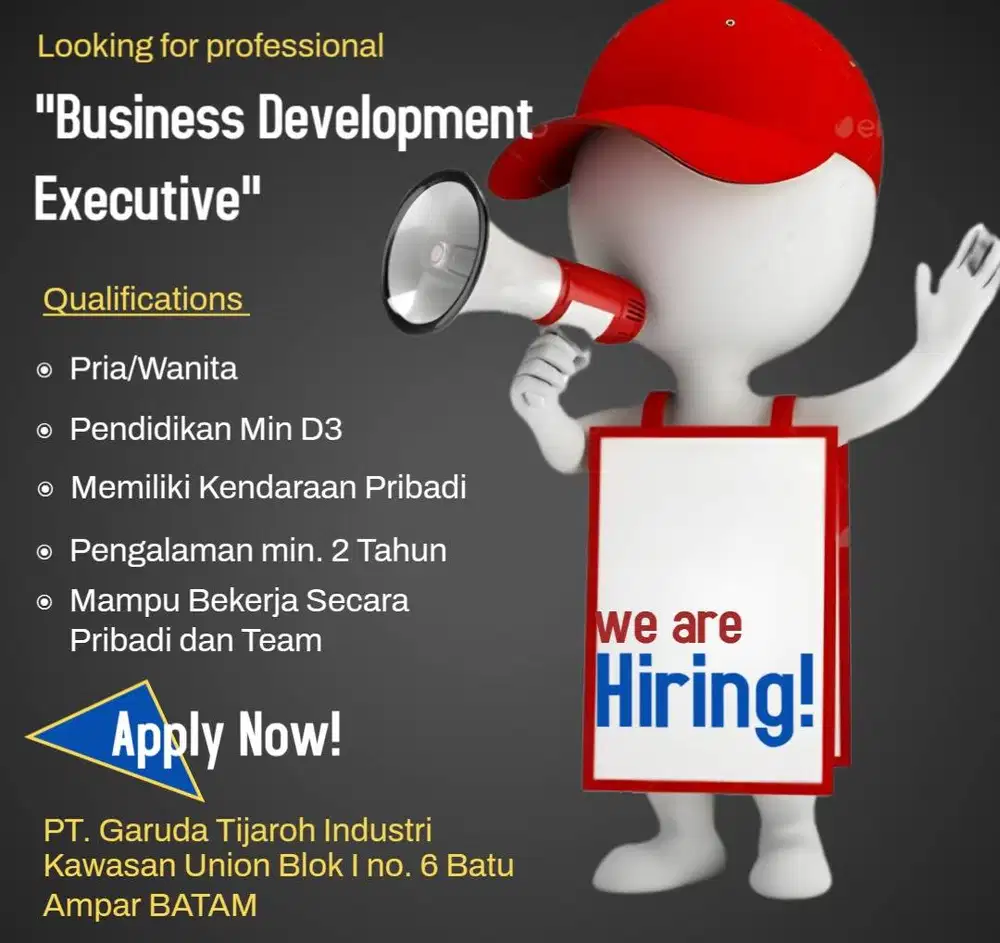 Business Development Executive