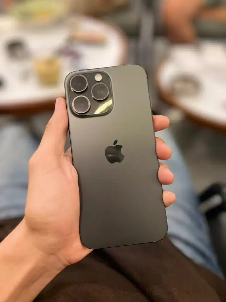 15 promax 256gb inter