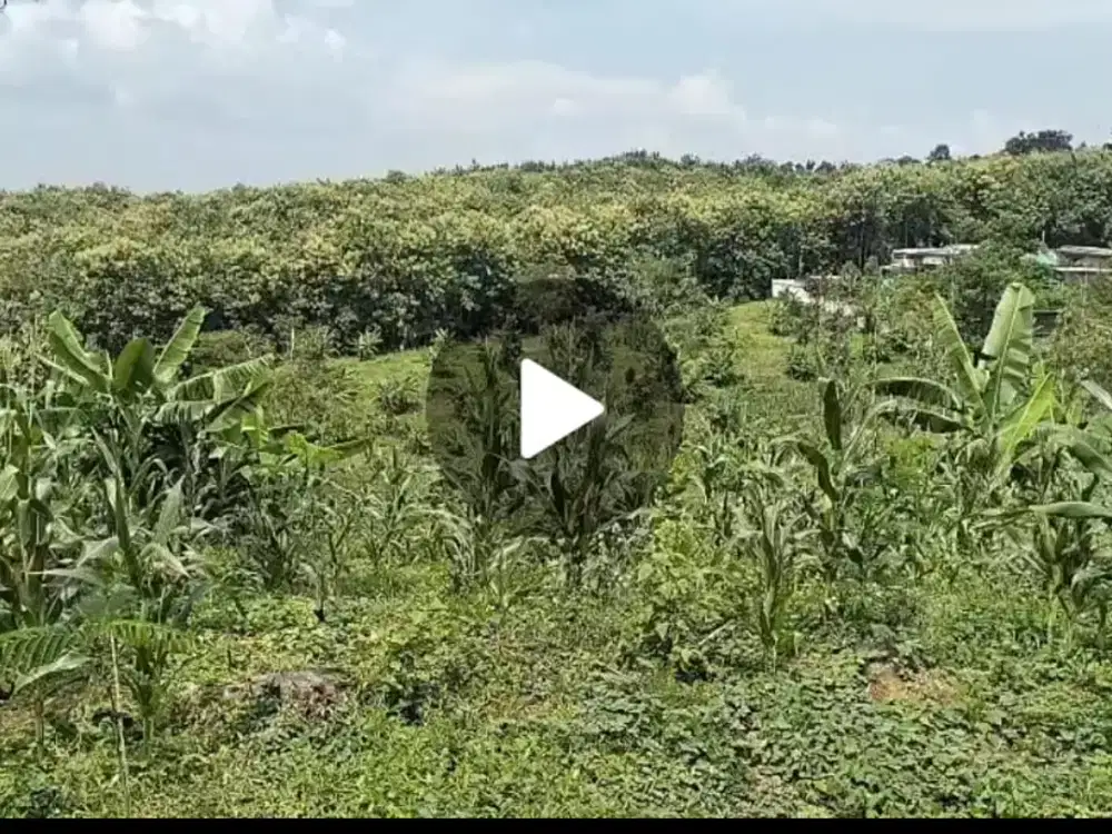 Dijual tanah luas untuk perkebunan udara dingin Bareng, Jombang