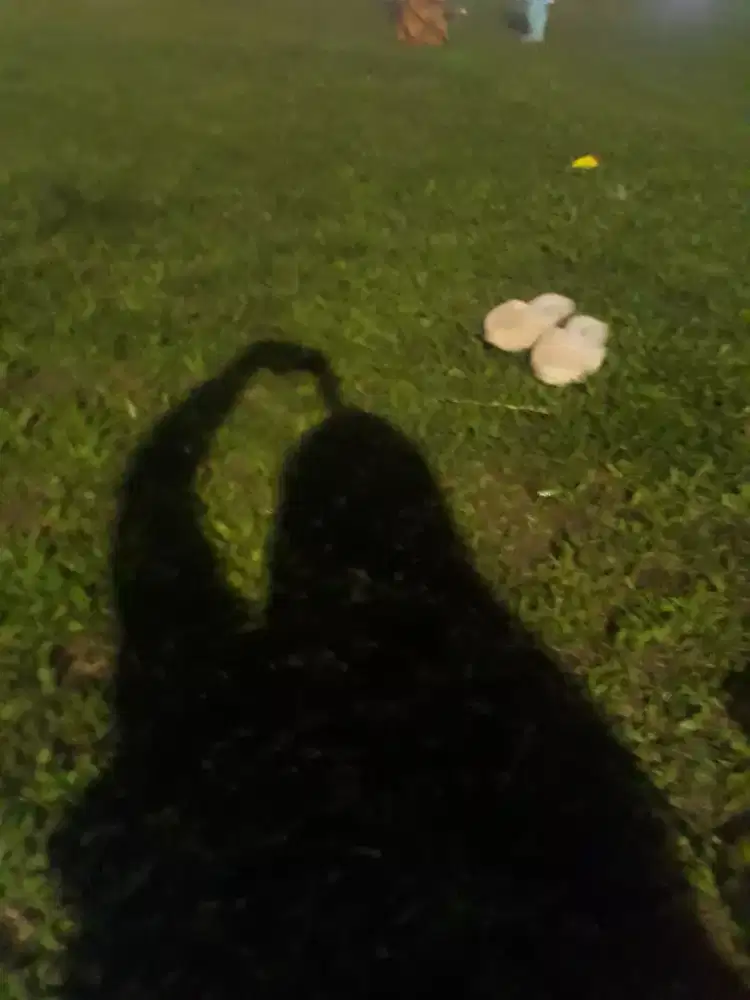 Plis info loker di jakarta ,yang pulang pergi ,apa aja yg halal,