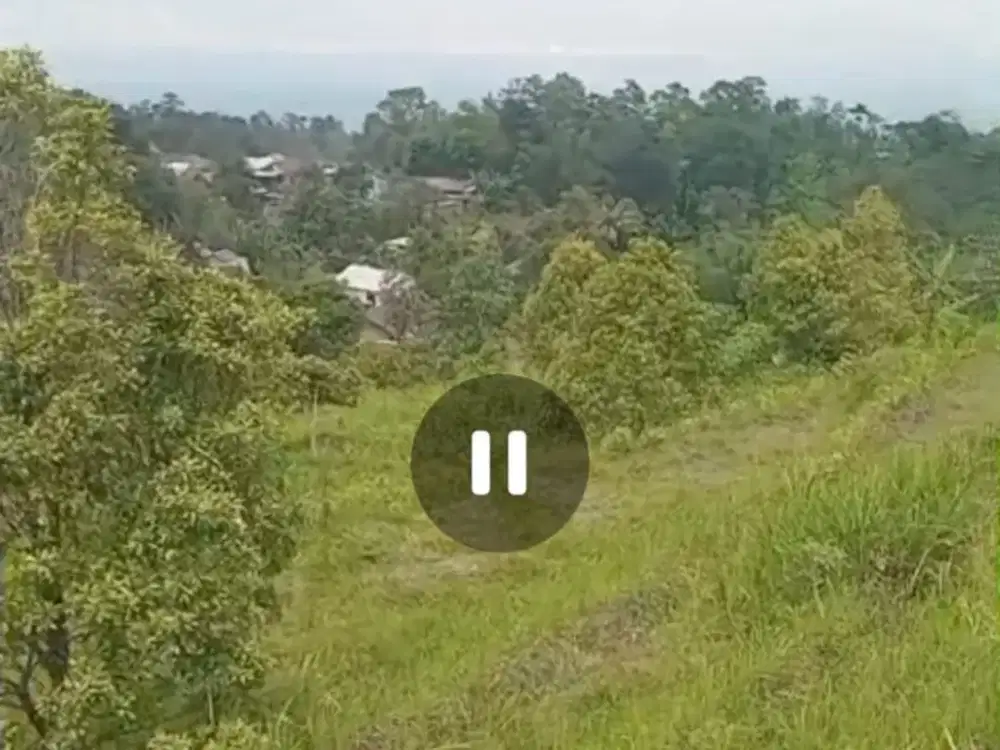 Dijual tanah murah untuk perkebunan, peternakan, villa, wisata Wonosalam, Jombang