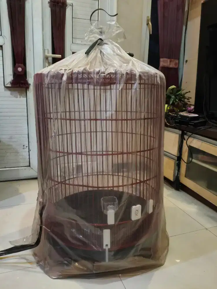 Kandang Burung Murai Batu Rafi Jaya List Arkilik