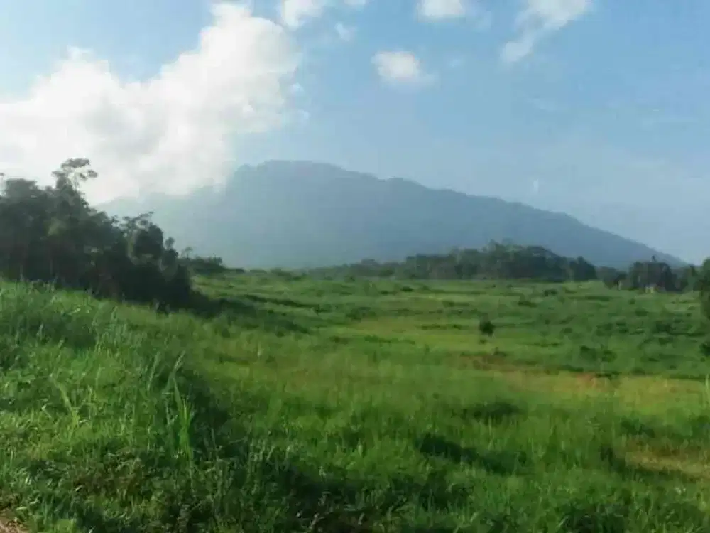 jual tanah lokasi cibedug ciawi