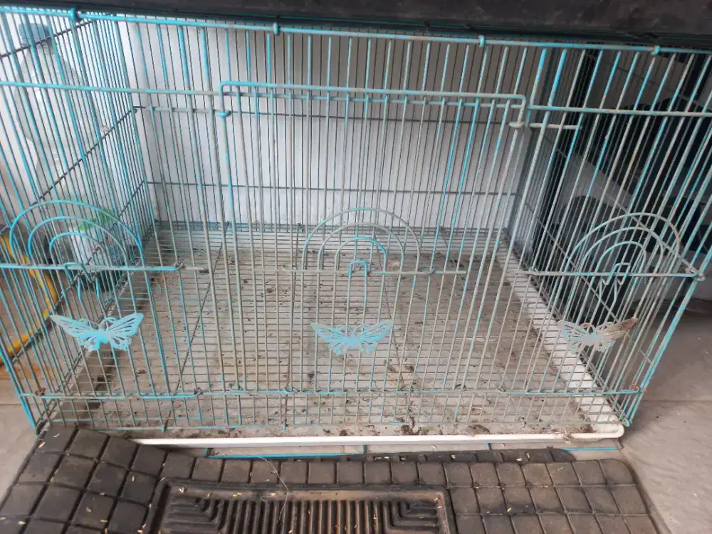 Kandang burung bekas