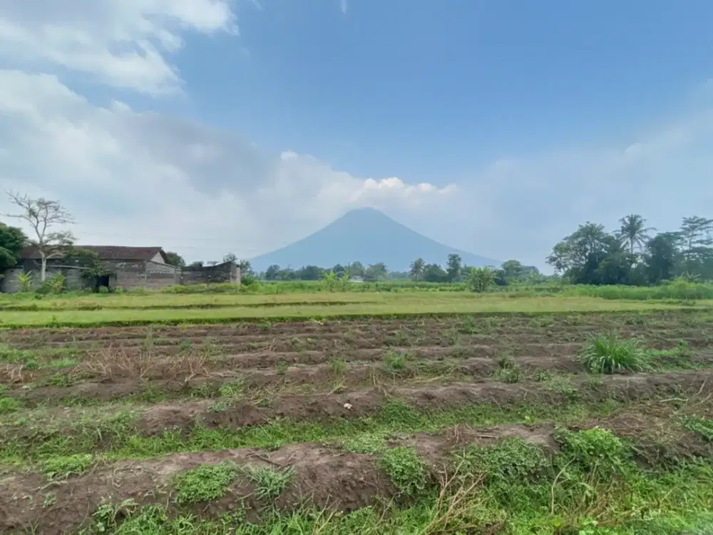 Tanah Sleman SHM 5 Menit Sleman City Hall, Promo Cicilan Bunga 0%