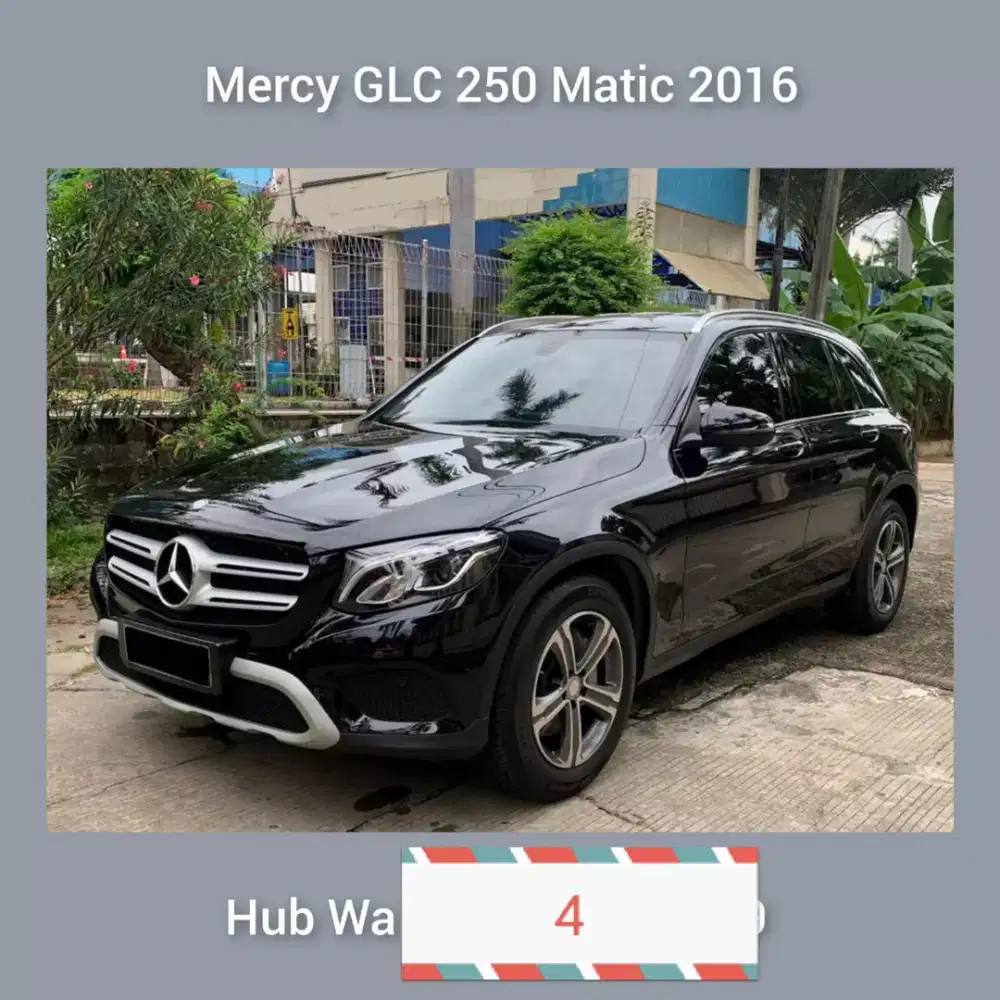 Tokek Surabaya dibutuhkan Lowongan