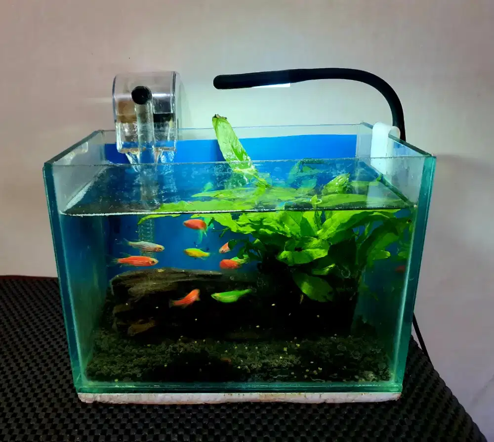 Aquarium lengkap