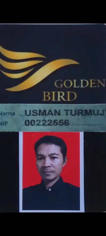 Ijin cari kerja supir pribadi rumahan