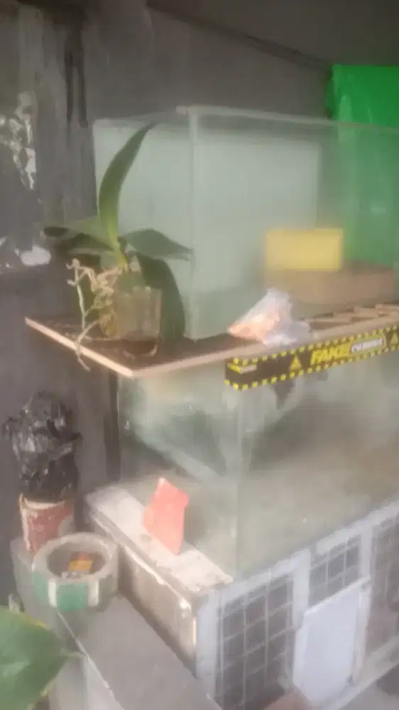 Aquarium kaca bekas