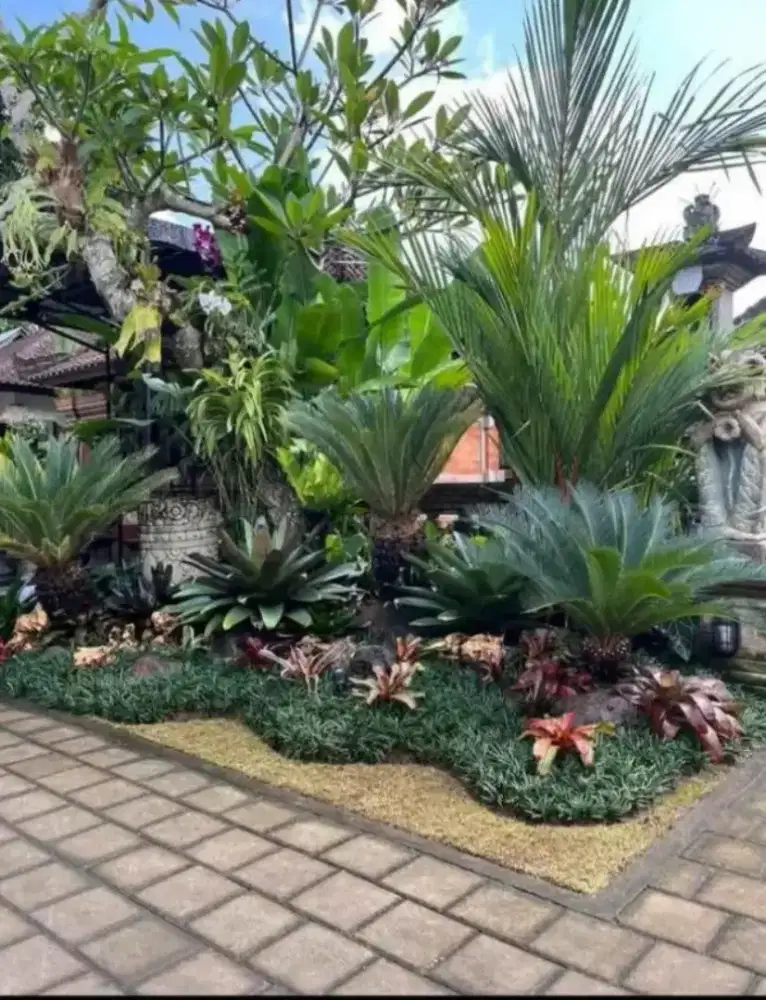 Spesialis pembuat Taman dan kolam ikan koi