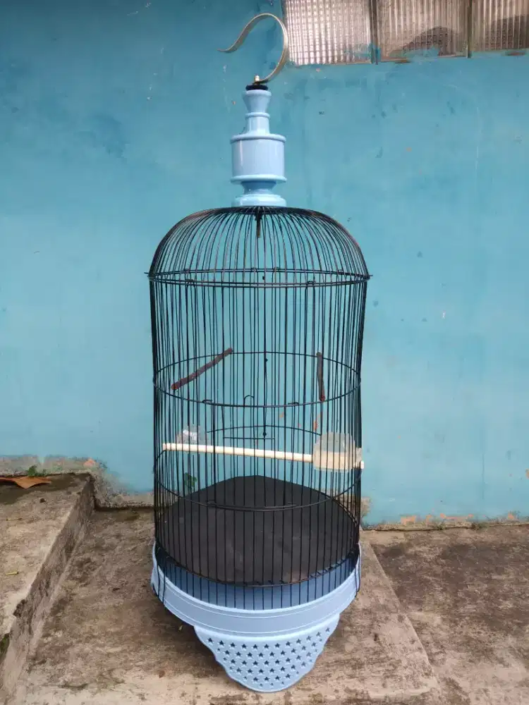 Sangkar burung Lovebird ciblek dll