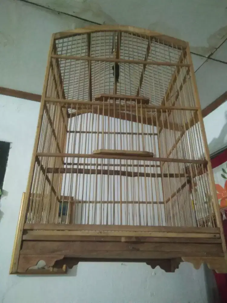Kandang kotak kayu no. 1 mentah