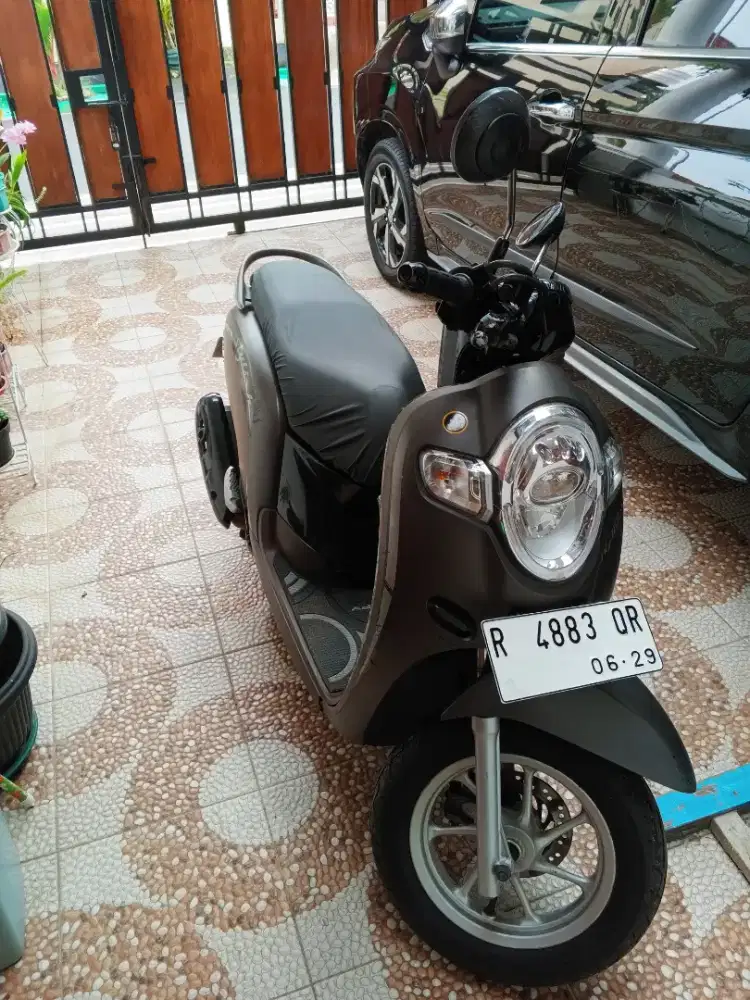 HONDA SCOOPY TH 2019