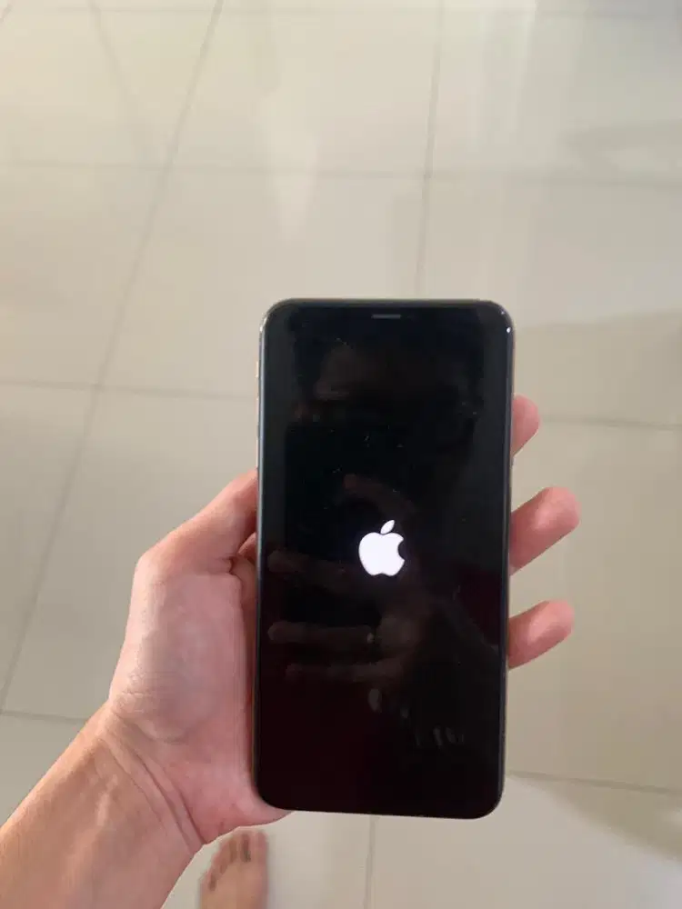 Iphone XS Max 256 GB