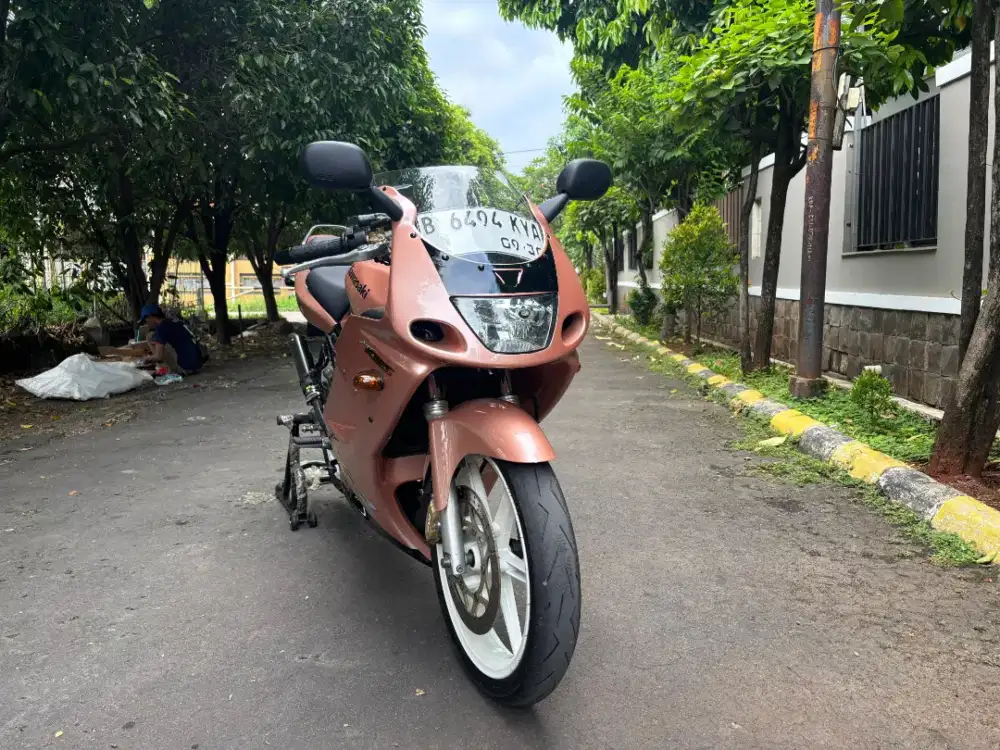 Kawasaki Ninja RR Old 2010