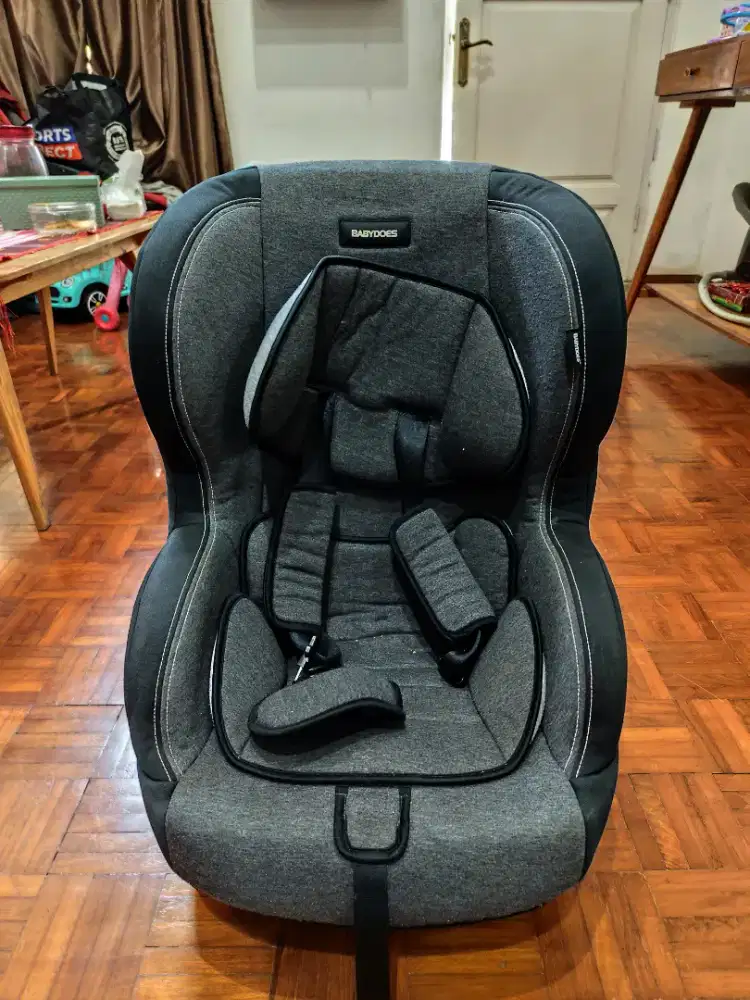 Car Seat Babydoes