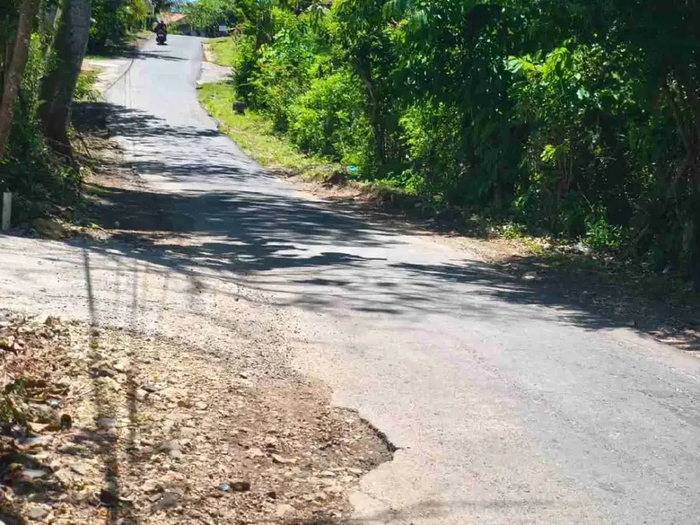 dijual tanah 20 are jln gunung payung Pandawa beach kutuh badung bali IDR 550 juta per are