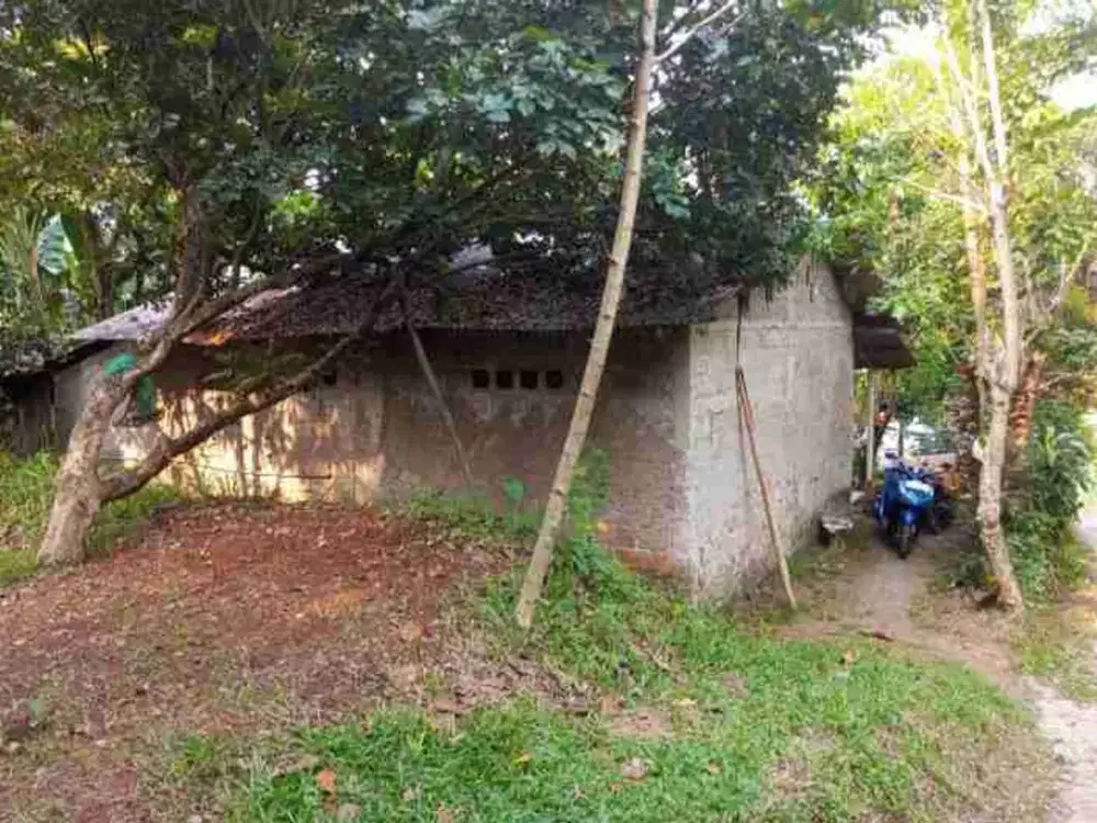 Dijual murah tanah kebun + rumahDi Tajur halang