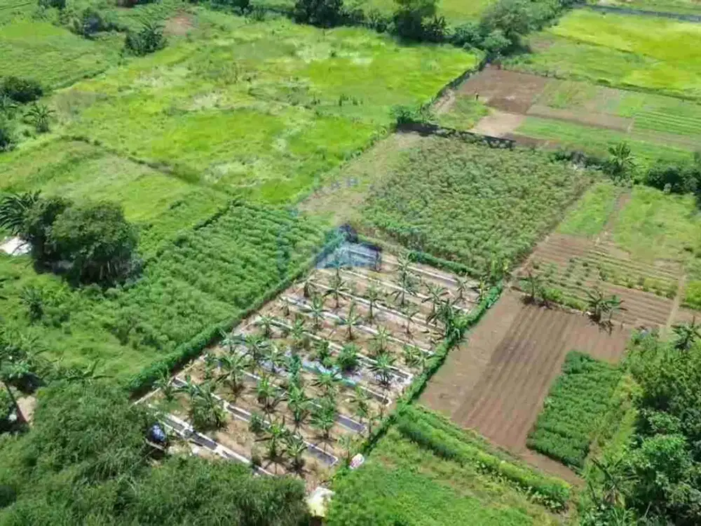 Jual tanah komersil di Bojong Nangka Tangerang Dekat Gading Serpong