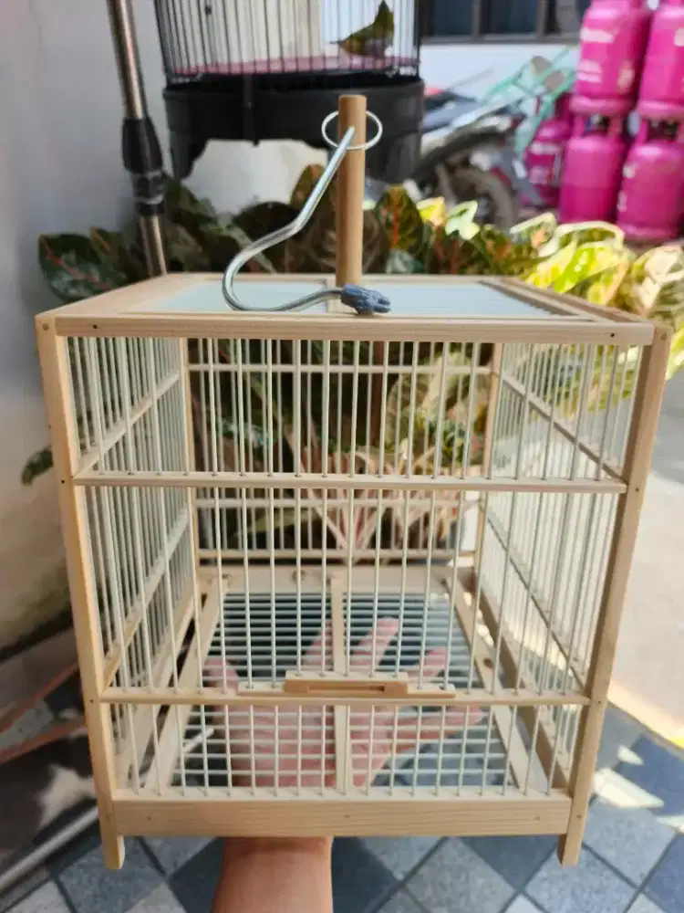 Sangkar Mini 24x24cm jati belanda full fiber