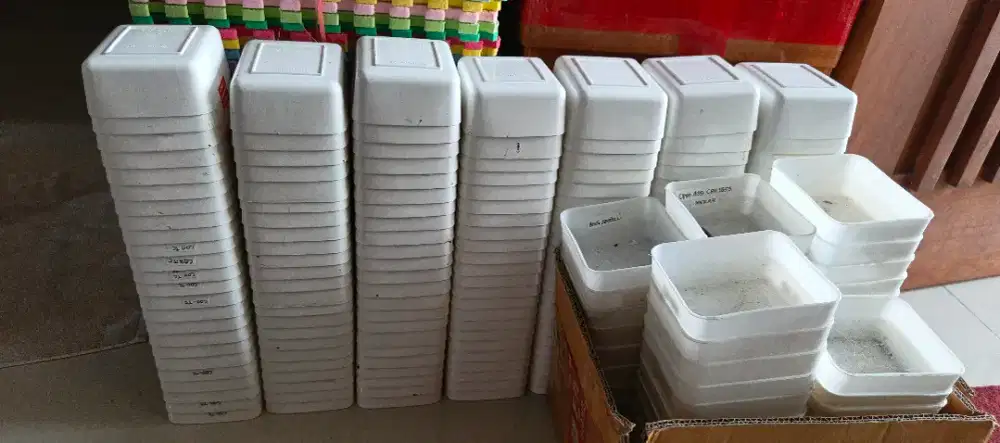 Kotak plaatik multifungsi