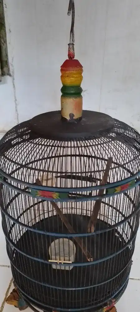 Jual sangkar murah..