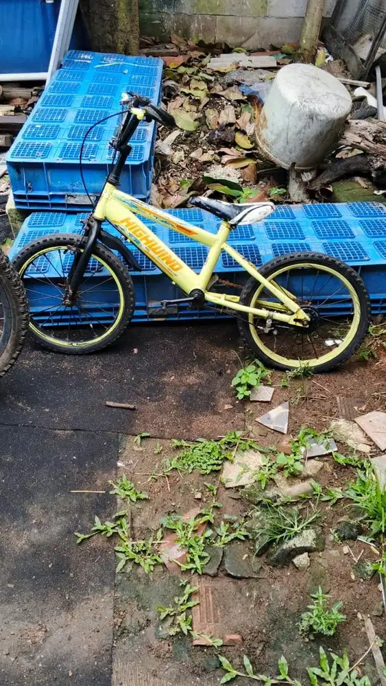 Sepeda anak bekas