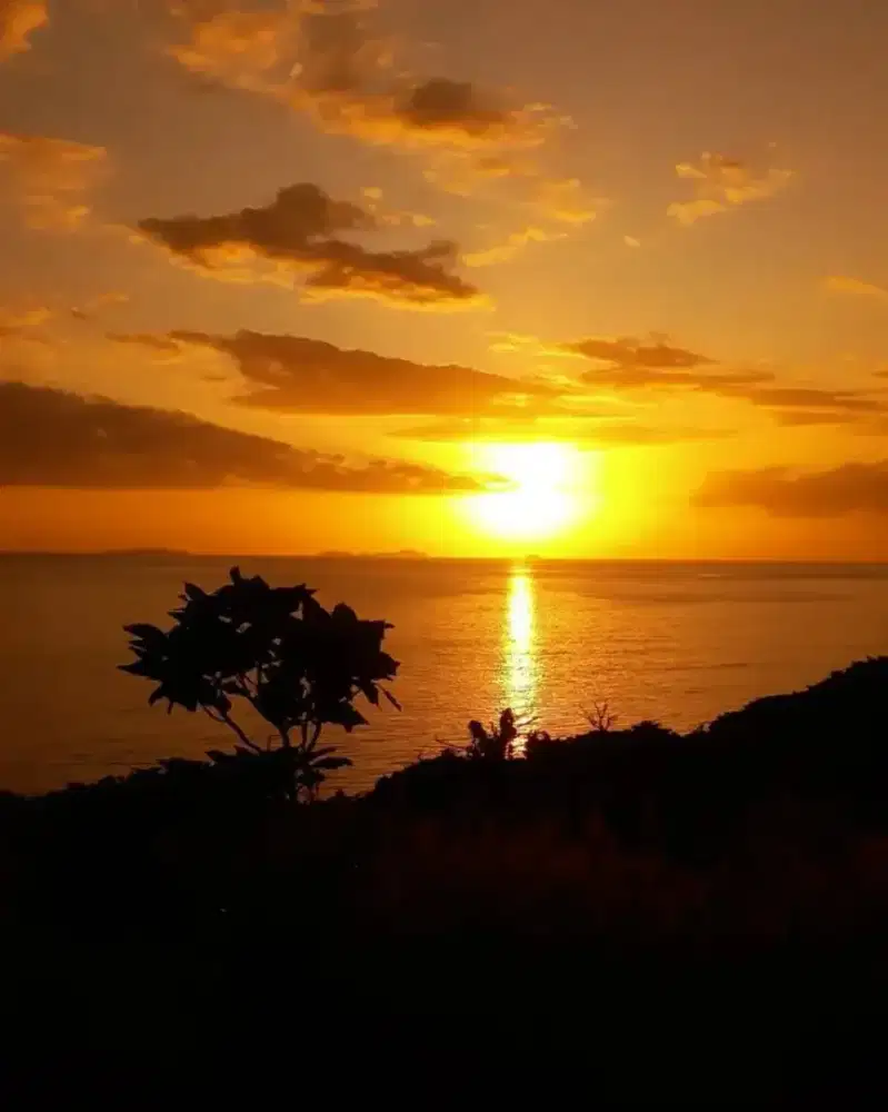 LOWONGAN ART/PEMBANTU PULANG PERGI DAERAH KOMSEN JATIASIH