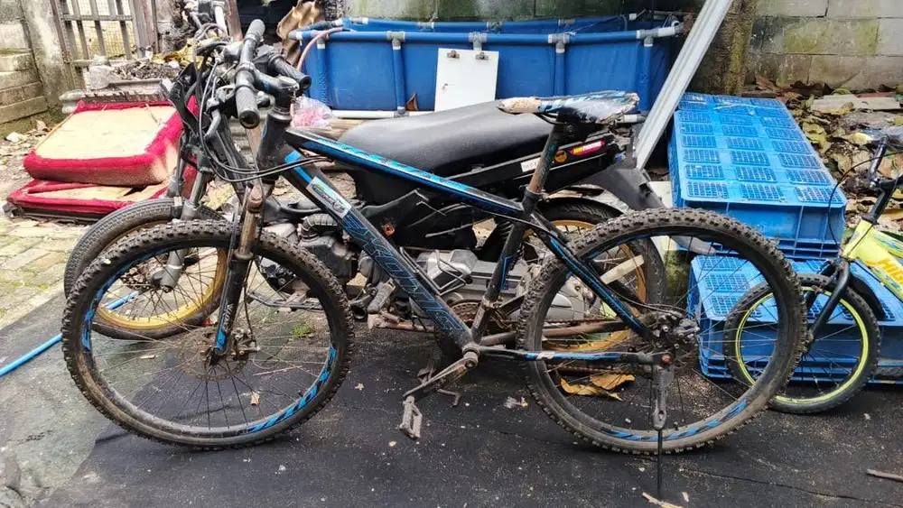 Di jual sepeda gunung dewasa