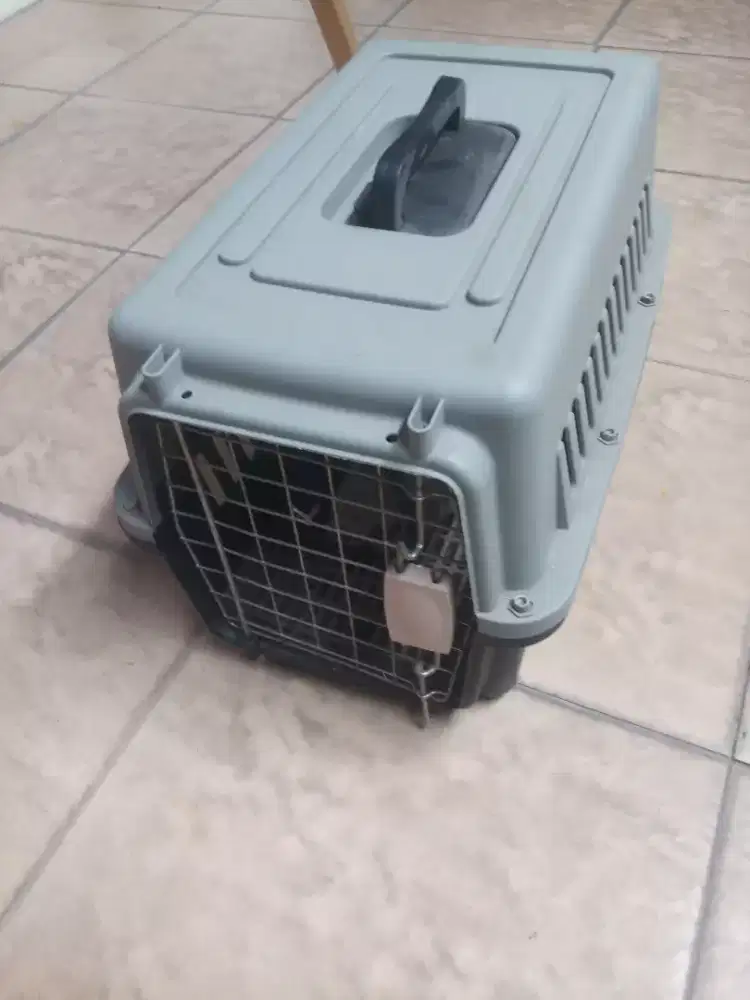 Pet cargo kucing