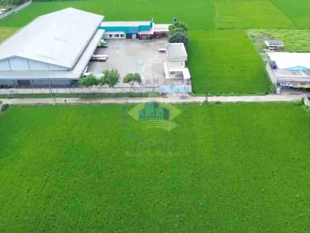 Jual tanah sawah di Sindang Jaya Pasar Kemis Tangerang Banten