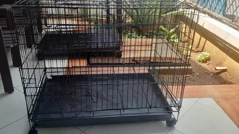 Dijual Kandang Kucing Besar Second
