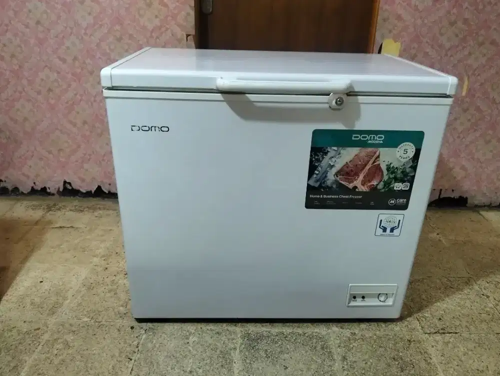 Frezzer DOMO ORISINIL 200L