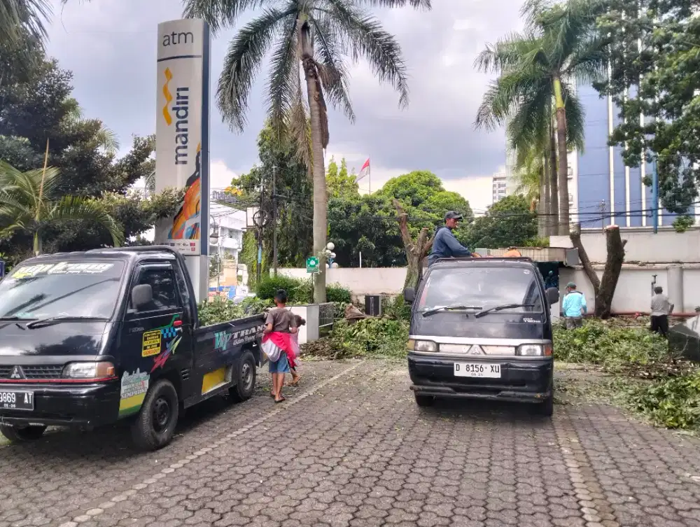 Jasa tebang pohon dan potong rumput