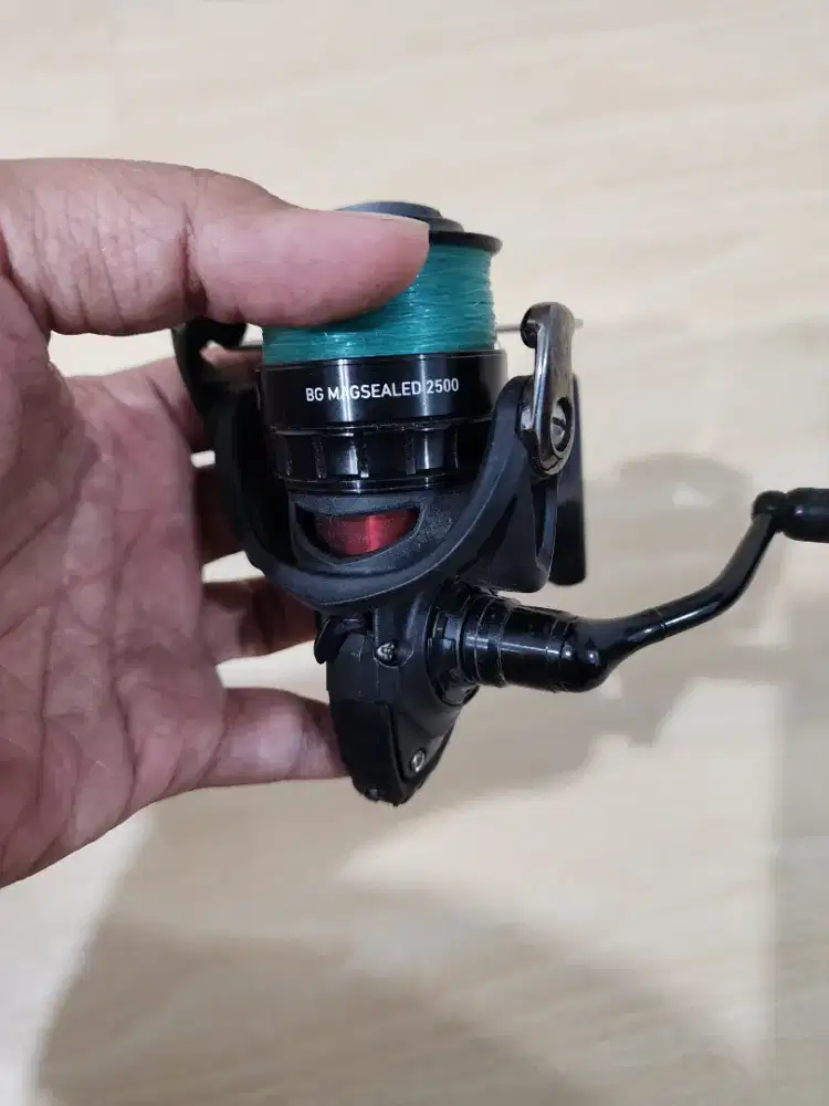 Reel Daiwa BG Magsealed 2500