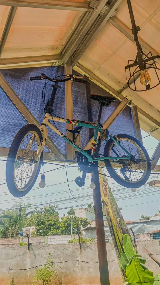 Sepeda non federal decal street fox