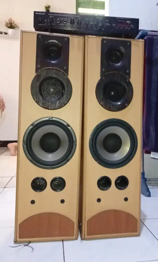 Tv, salon, ampli sunbuck