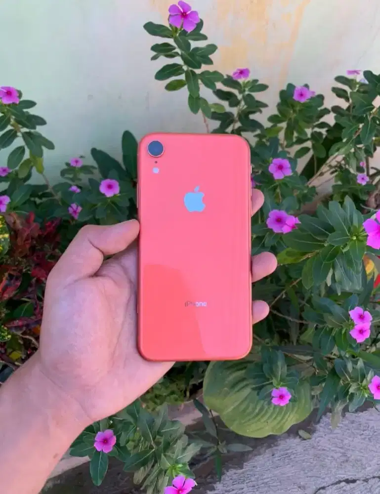 iPhone Xr 64gb inter