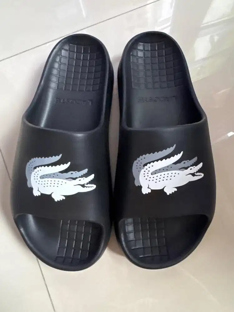 Sandal lacoste pria