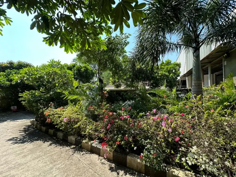 Tanah Cikokol Tangerang luas 4000 di pinggir jalan utama