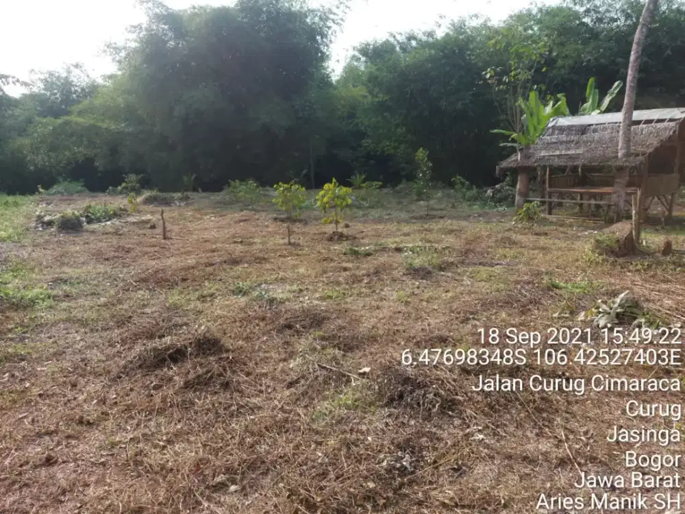 Tanah Dijual Cepat  jl Curug Tegal Wangi Jasinga