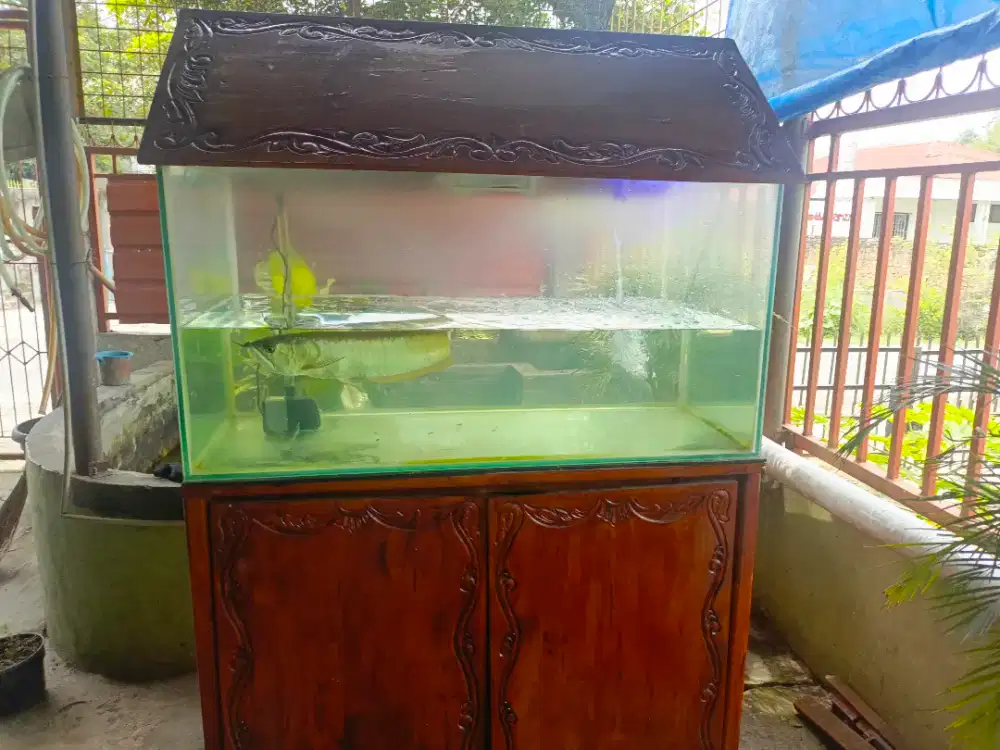 Jual aquarium, ikan arwana, dan lemari kayu jati