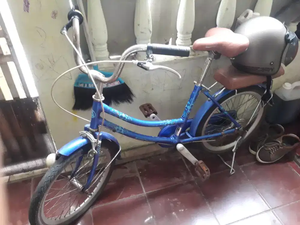 Sepeda anak ban uk 20