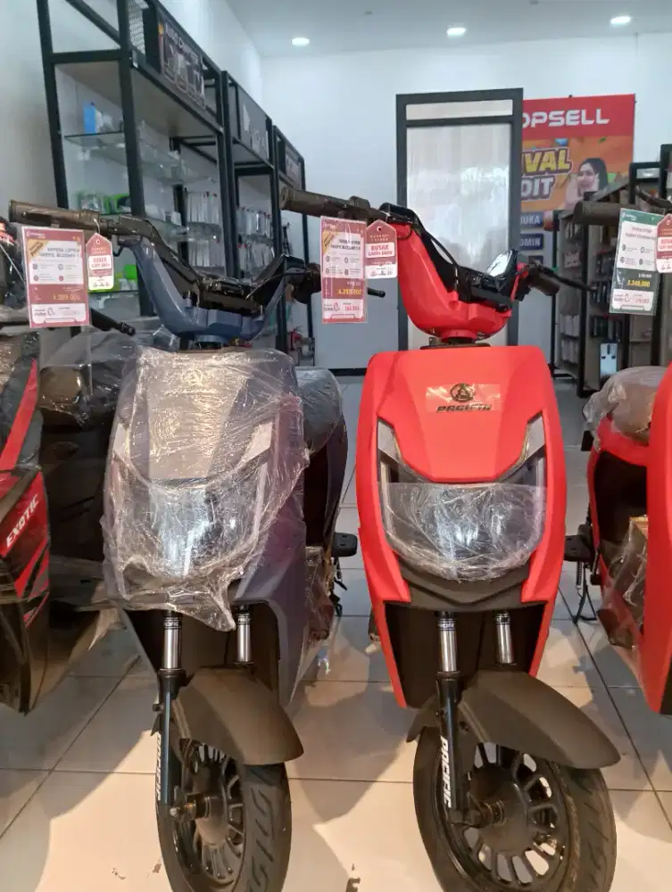 Pasific Blizzard 1.0 New