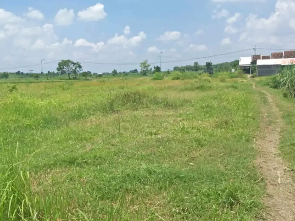 Disewakan Murah Tanah Gudang dan Industri Dawarblandong, Mojokerto.